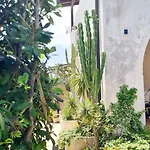 Daire Aeonium San Cataldo (Apulia)