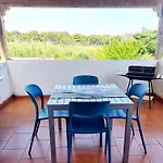 Aeonium San Cataldo (Apulia)
