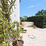 Aeonium Daire San Cataldo (Apulia)