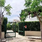 Aeonium * San Cataldo (Apulia)